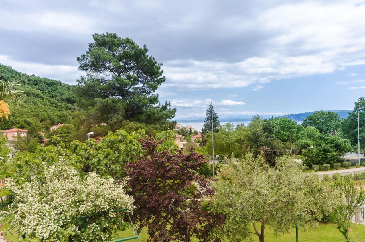 Apartment Branka