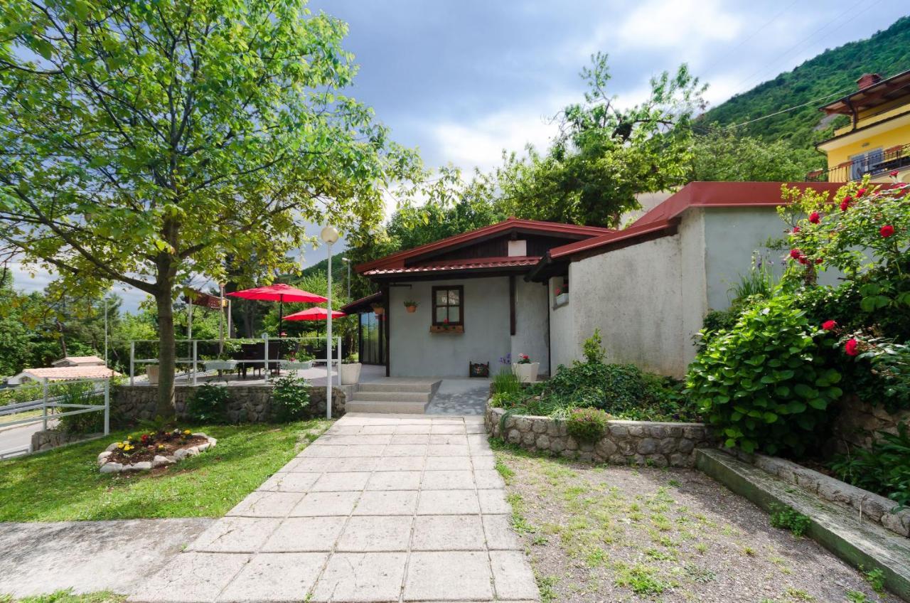 Apartment Branka *