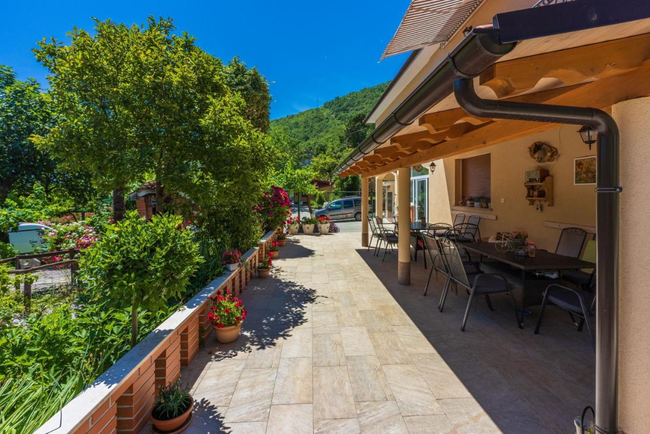 Apartment Branka